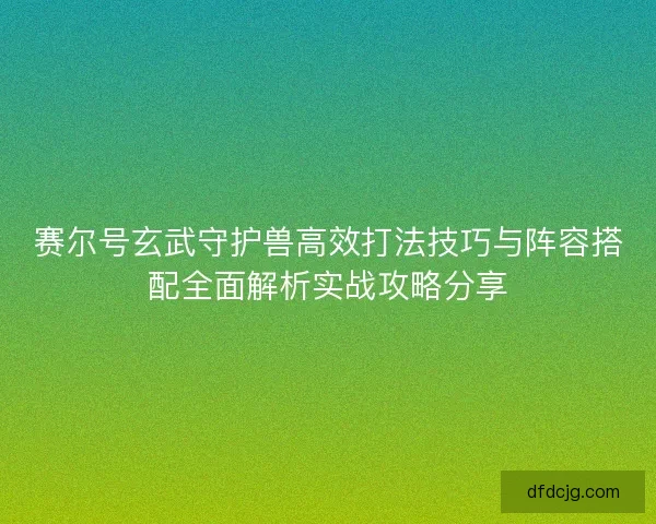 赛尔号玄武守护兽高效打法技巧与阵容搭配全面解析实战攻略分享