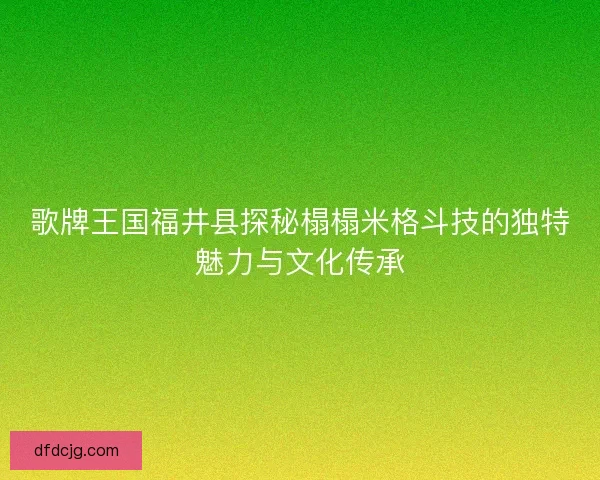 歌牌王国福井县探秘榻榻米格斗技的独特魅力与文化传承