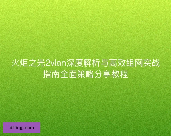 火炬之光2vlan深度解析与高效组网实战指南全面策略分享教程